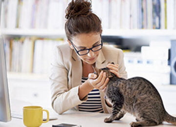 chat-bureau03