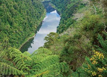 fleuve-NZ03