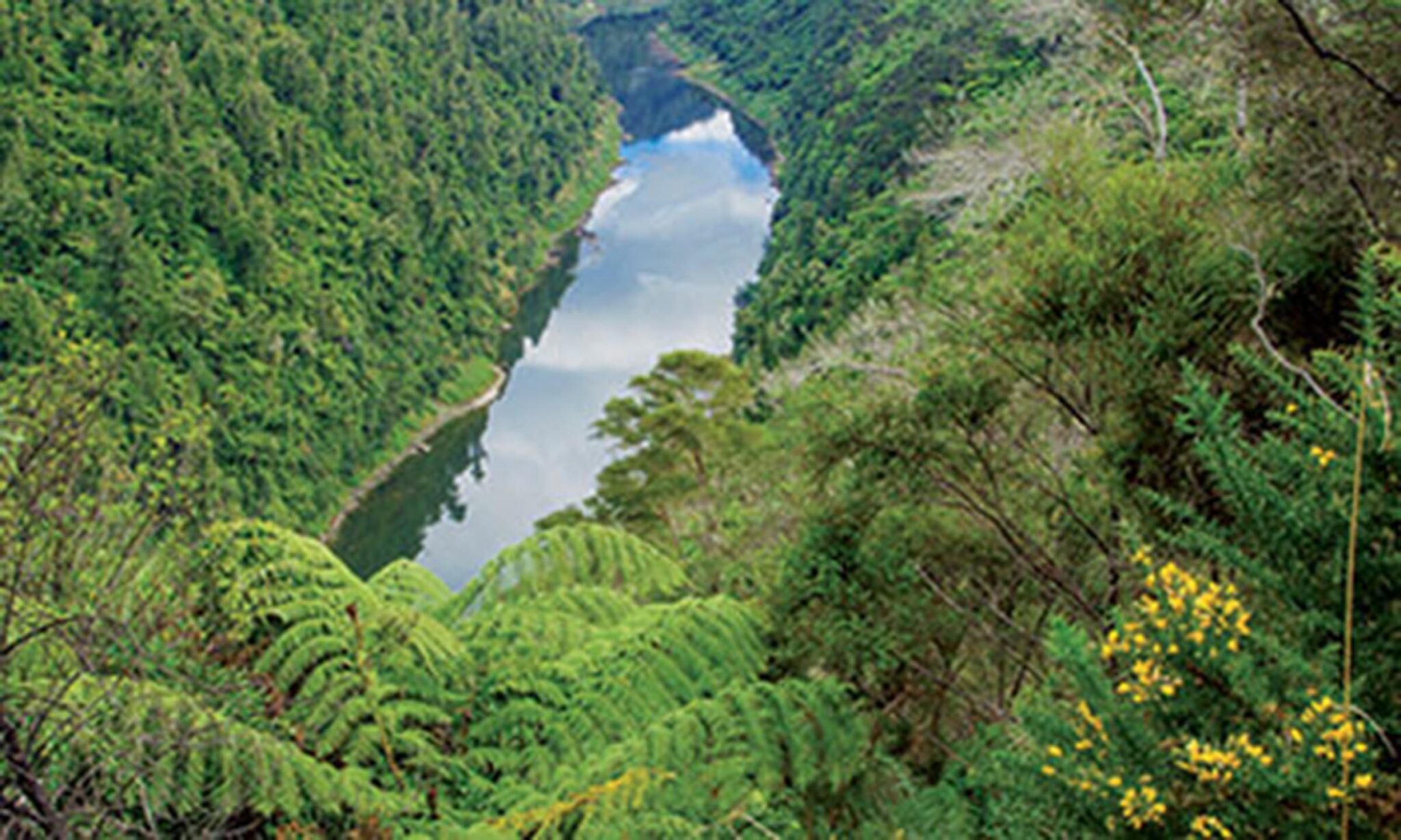 fleuve-NZ03