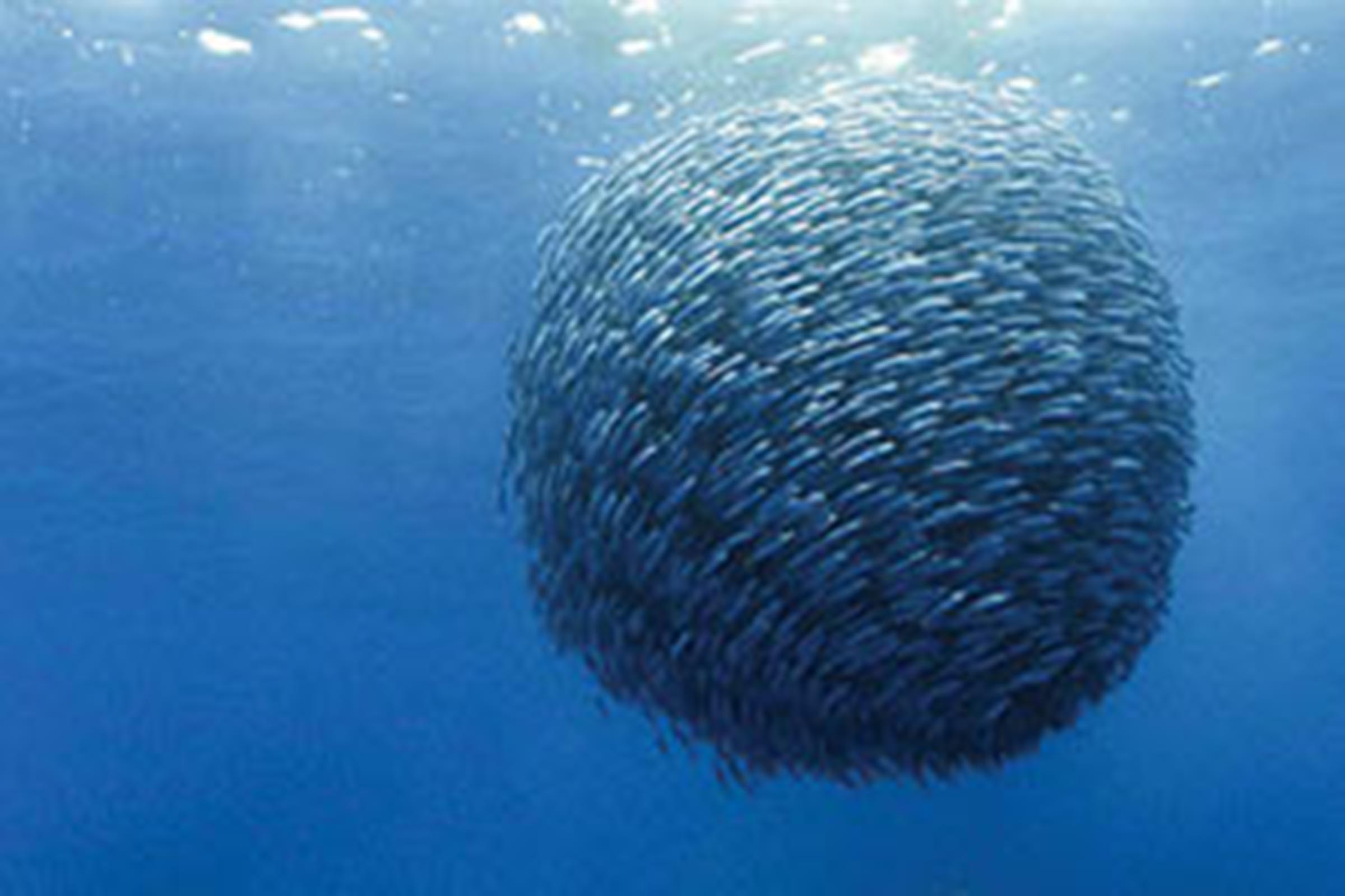 planeteocean05