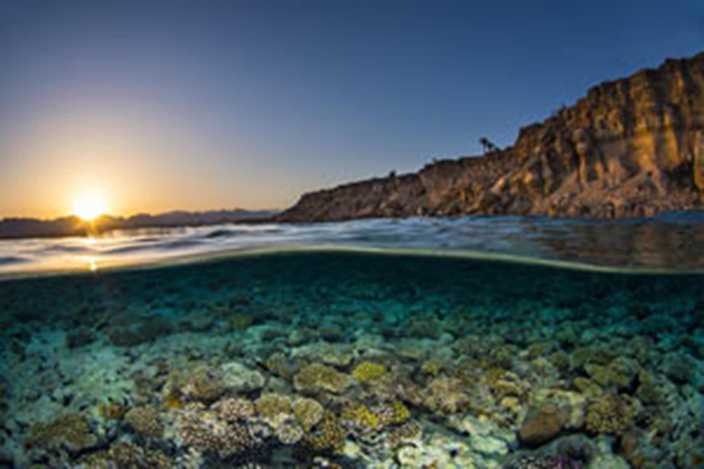 planeteocean08