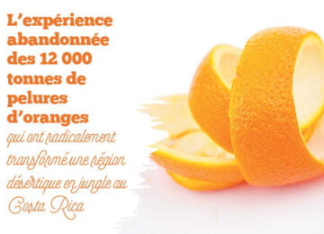 orange-peel01