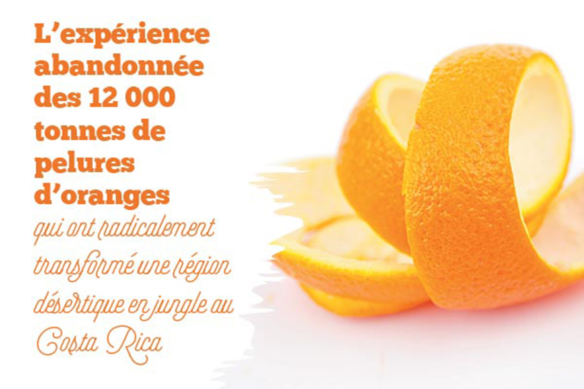 orange-peel01
