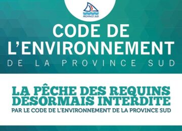 pecheaurequins01