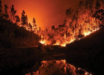 incendie-foret-portugal-juin-600x338