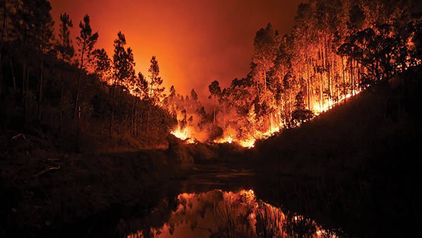 incendie-foret-portugal-juin-600x338