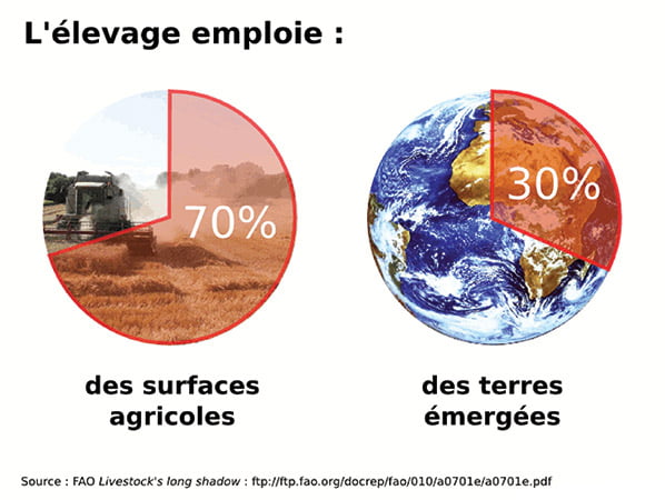 c_dans_l_air_environement_24_03