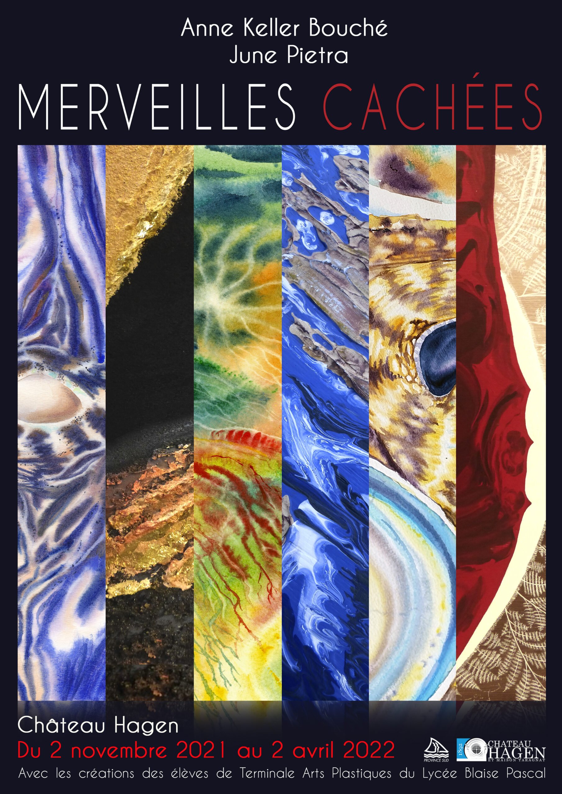 affiche-expo-merveilles-cachees-hd