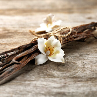 Dried,Vanilla,Pods,And,Flower,On,Wooden,Background